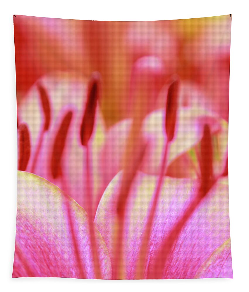 Flower Tapestry featuring the photograph Born to Blush by Becqi Sherman