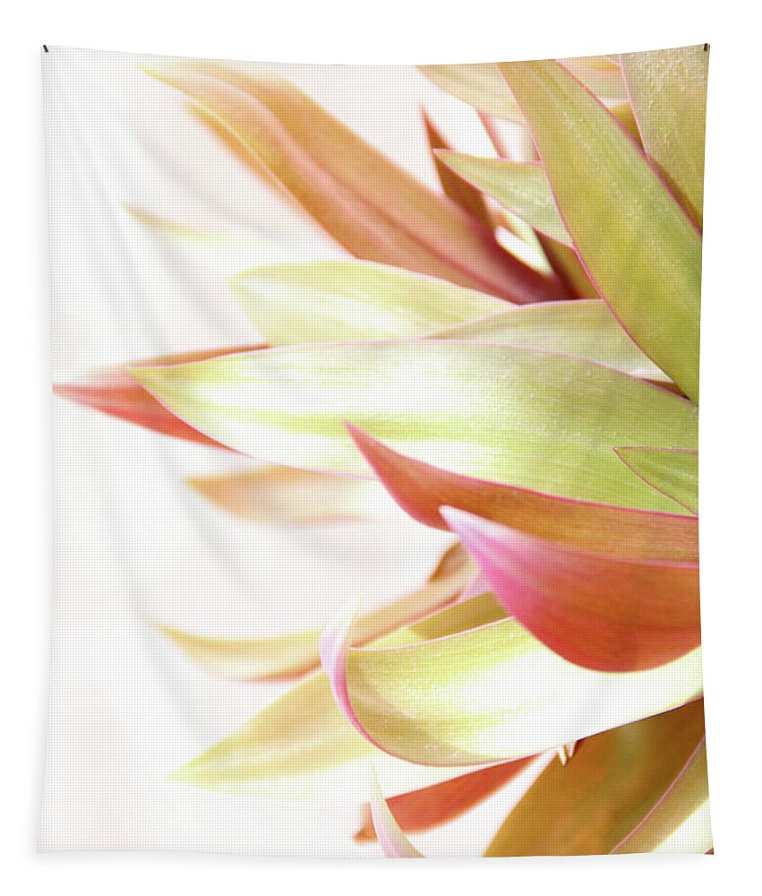 Plant Tapestry featuring the photograph Botanical Dance by Becqi Sherman