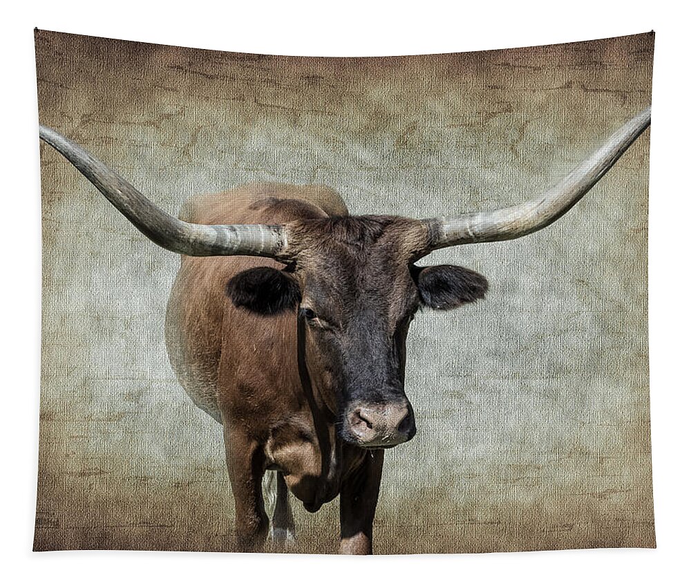 Afternoon Tapestry featuring the photograph Bovine by Doug Long