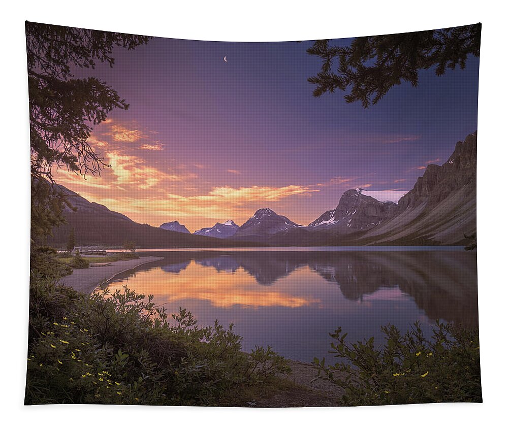 America Tapestry featuring the photograph Bow Lake at dawn by William Lee