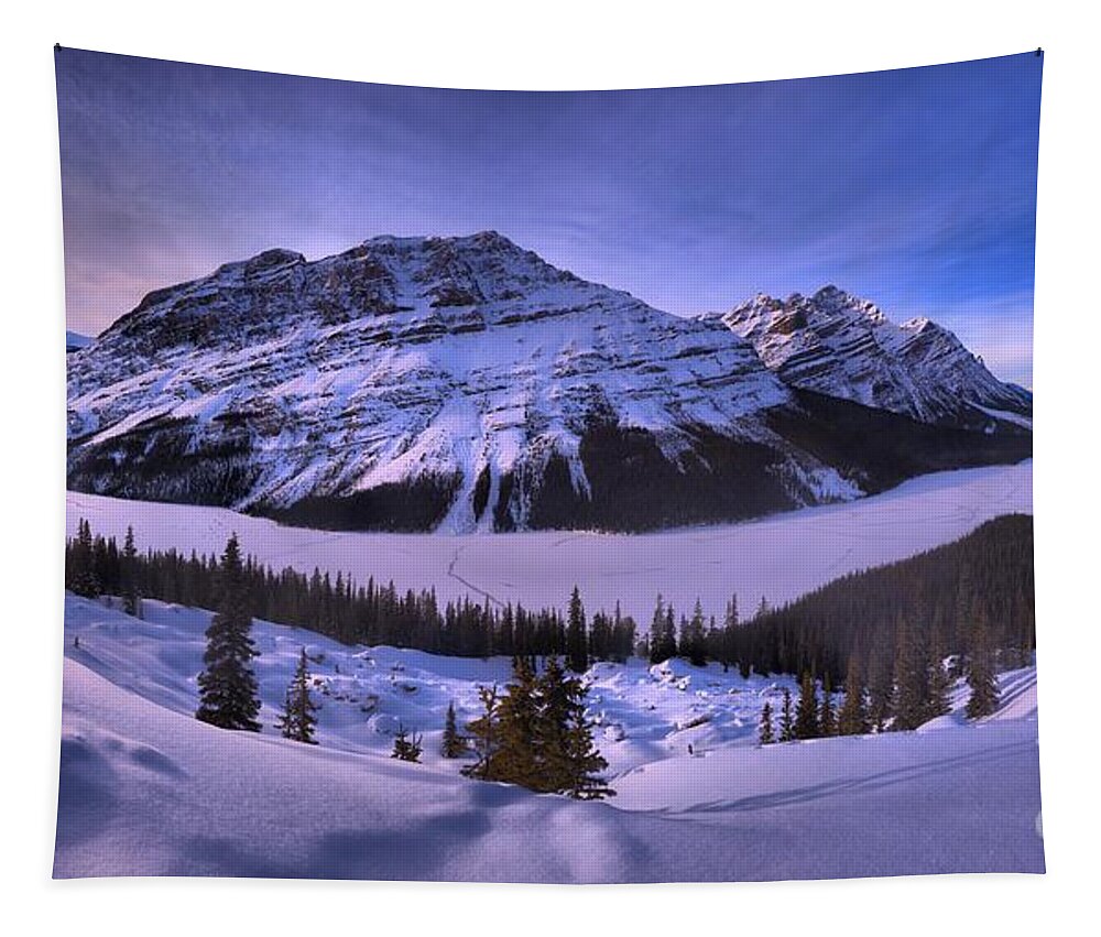 Peyto Lake Tapestry featuring the photograph Bow Summit Overlook by Adam Jewell