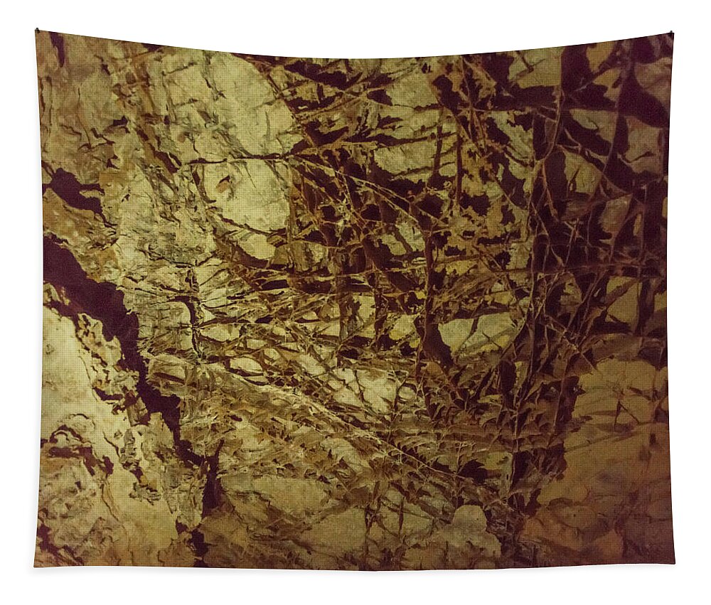 Boxwork Tapestry featuring the photograph Boxwork in Wind Caves by Brenda Jacobs