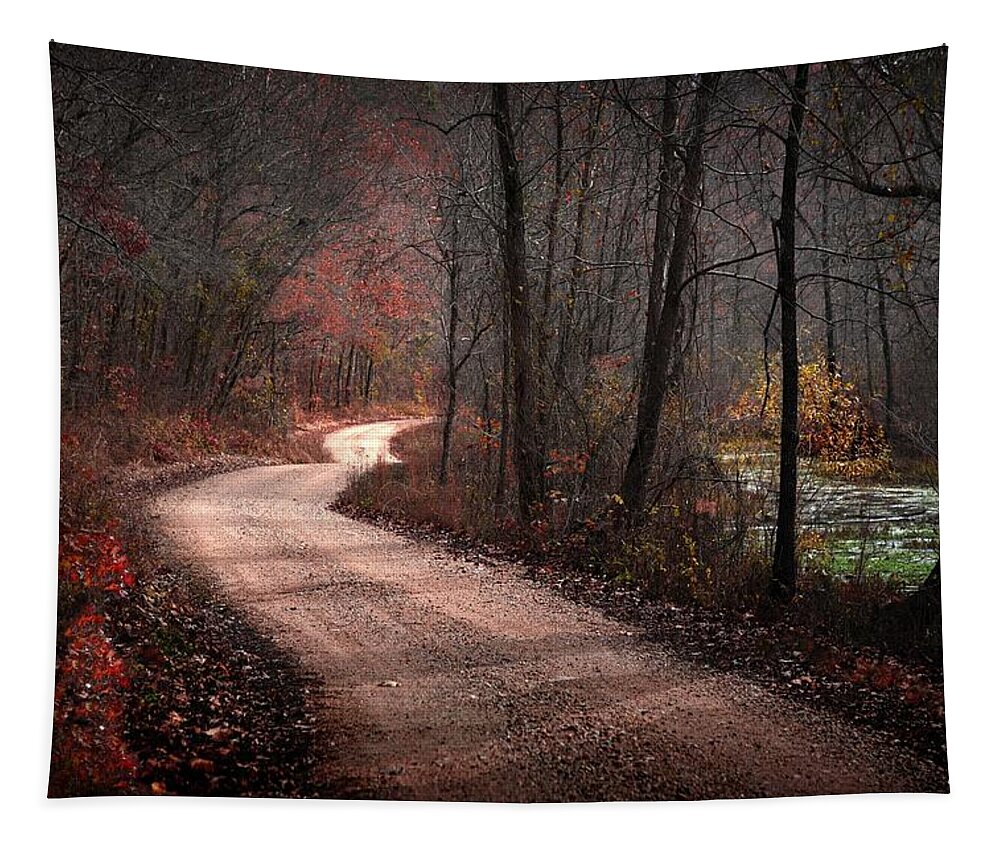 Country Roads Tapestry featuring the photograph Boz Mill Road by Bill Stephens