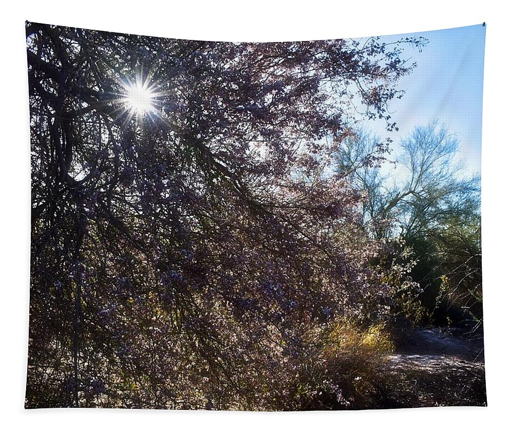 Arizona Tapestry featuring the photograph Breakthrough by Judy Kennedy