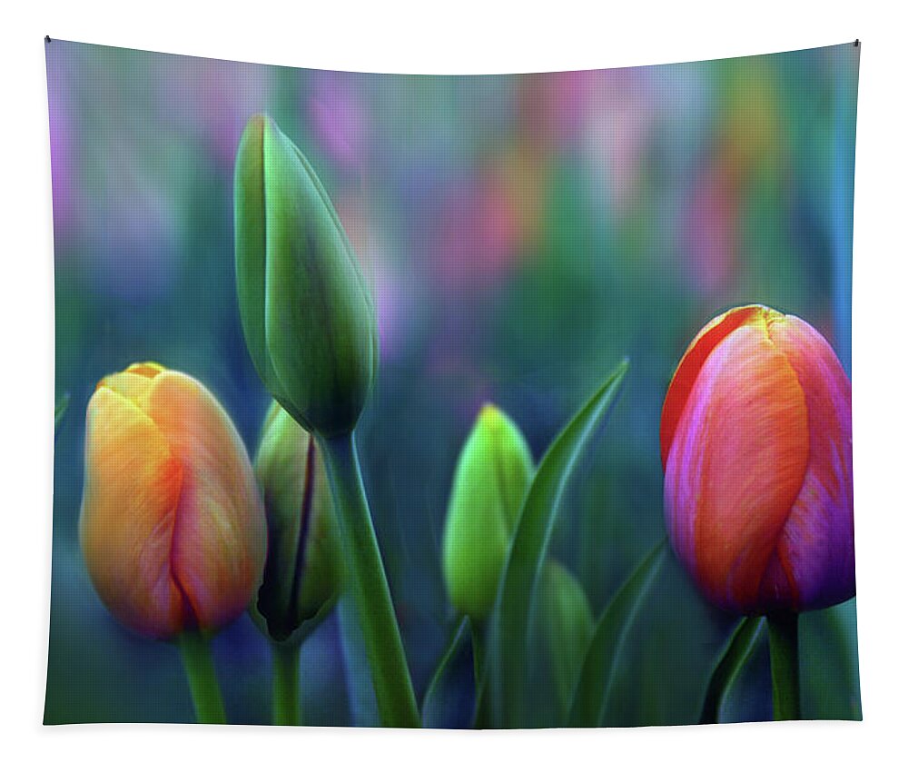 Tulips Tapestry featuring the photograph Breezy by Jessica Jenney