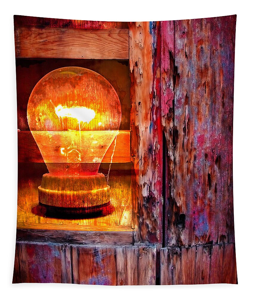 Skip Tapestry featuring the photograph Bright Idea by Skip Hunt