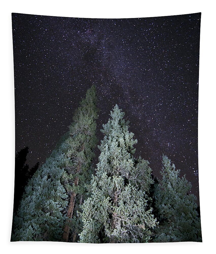 Milky Way Tapestry featuring the photograph Bright Night by Jeffrey Kolker