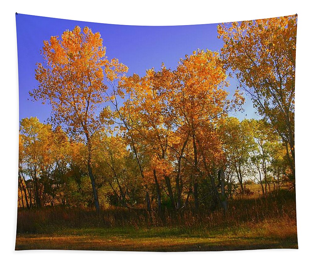 Landscape Tapestry featuring the photograph Brilliant Autumn Day in Oklahoma by Toni Hopper
