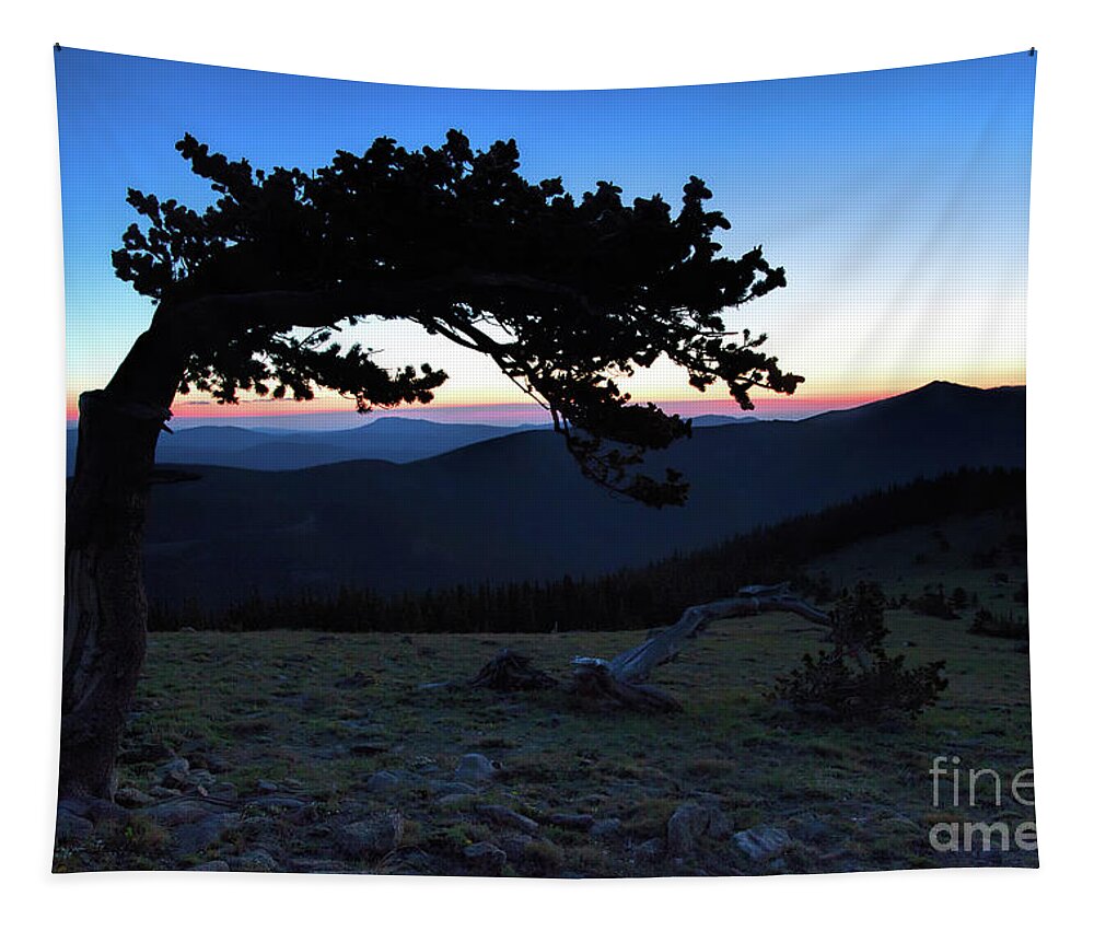 Bristlecone Landscape Tapestry featuring the photograph Unbroken by Jim Garrison