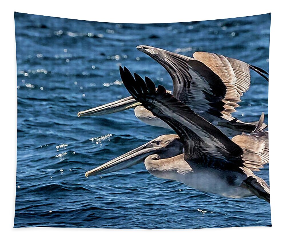 Brown Pelican Tapestry featuring the photograph Brown Pelicans by Endre Balogh