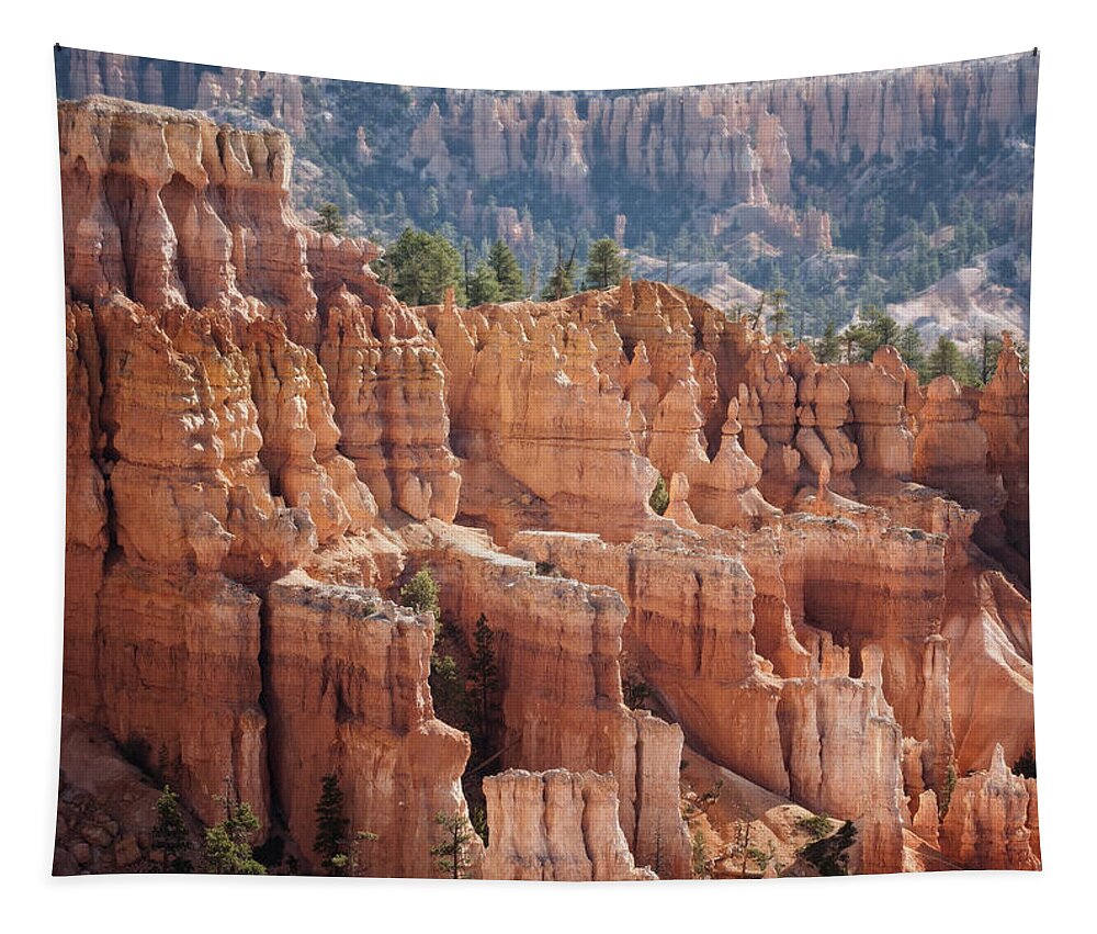 Betty Depee Tapestry featuring the photograph Bryce Canyon by Betty Depee
