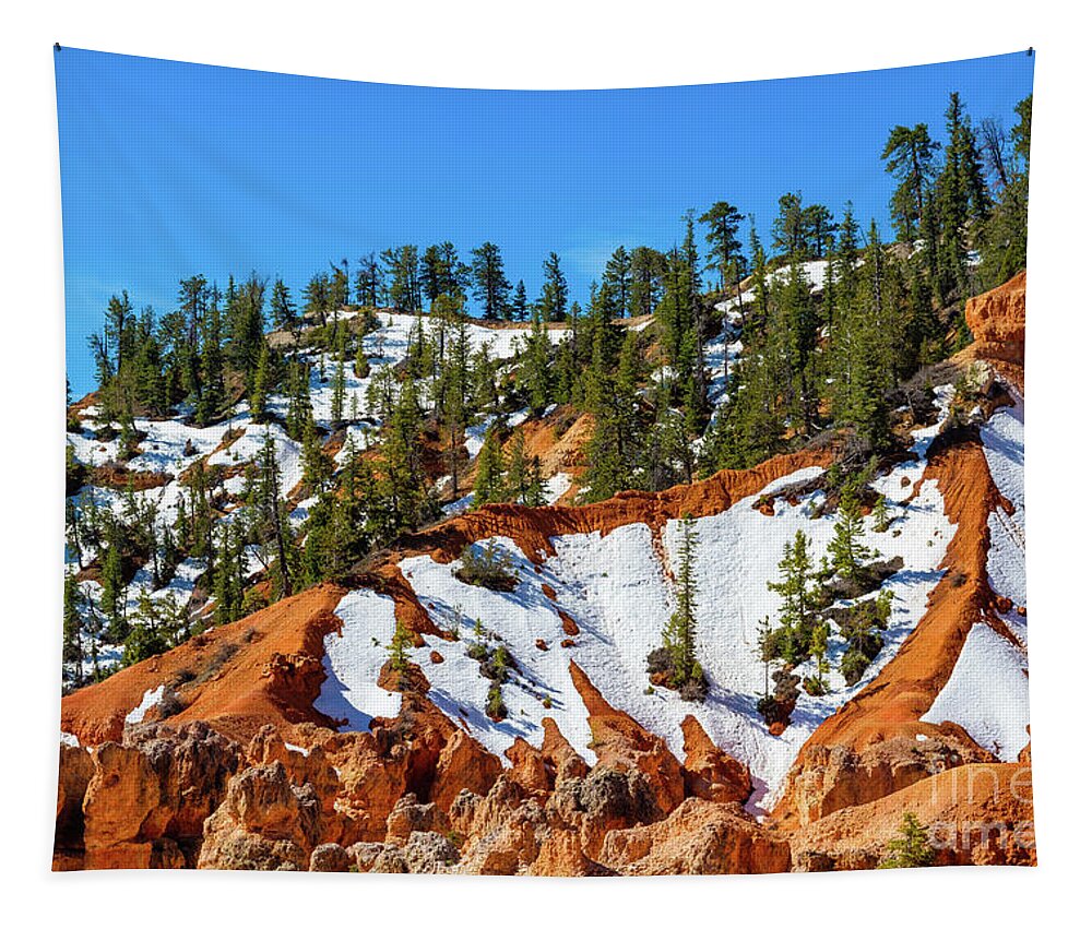 Bryce Canyon Tapestry featuring the photograph Bryce Canyon Utah by Raul Rodriguez