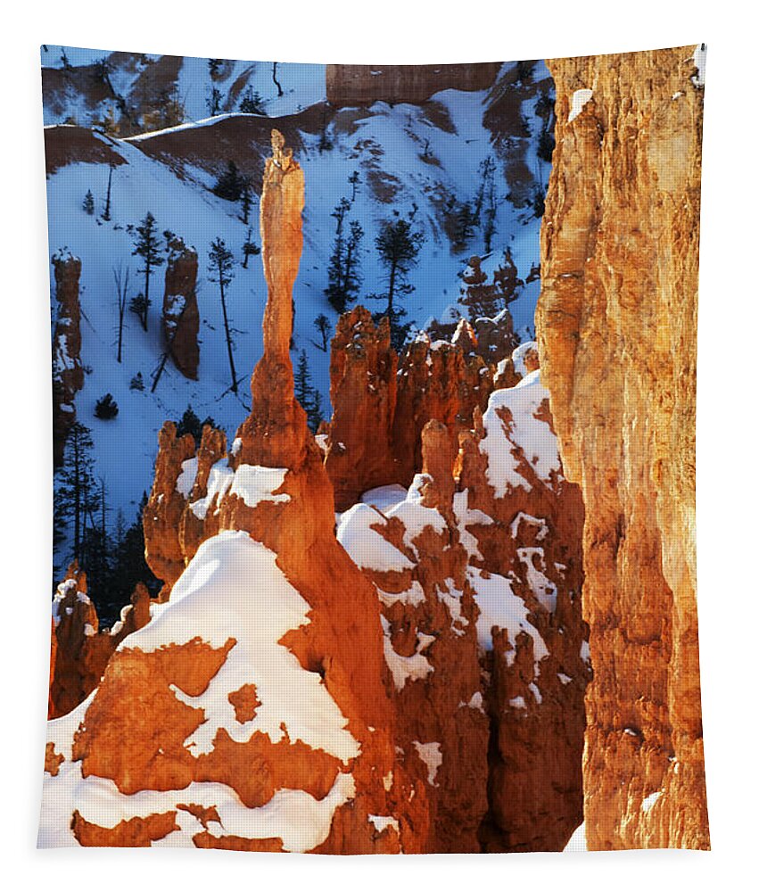 Bryce Tapestry featuring the photograph Bryce Canyon Winter 4 by Bob Christopher