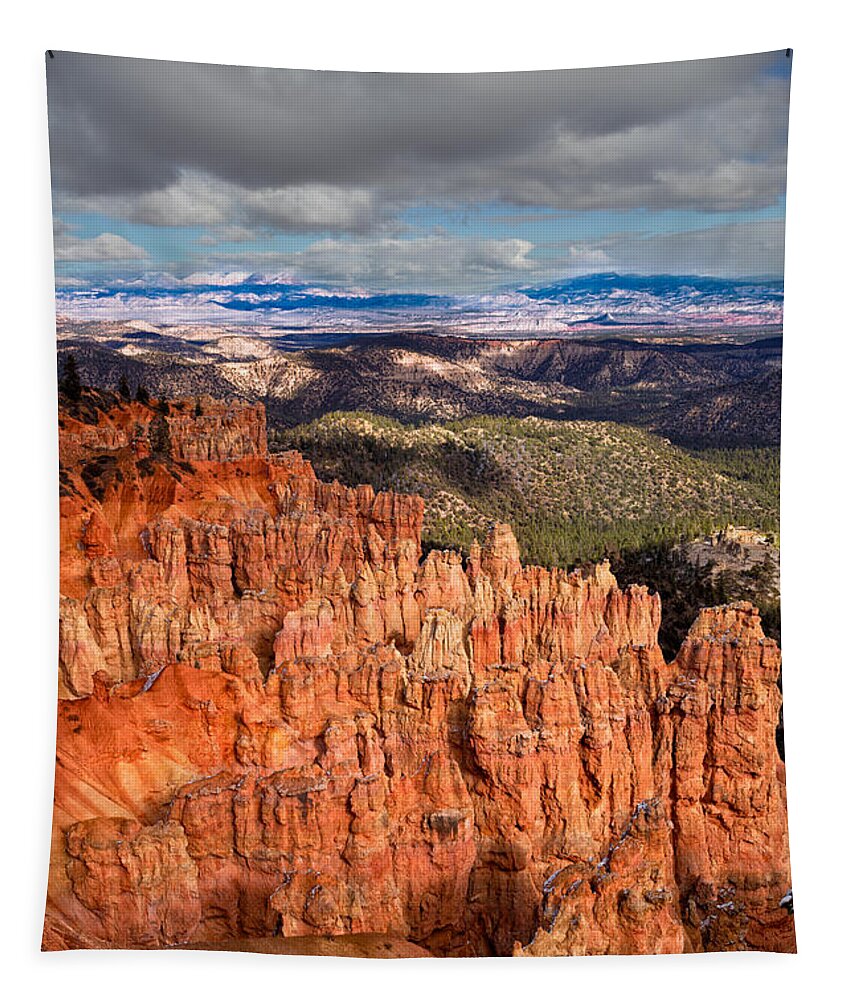 Bryce Canyon Tapestry featuring the photograph Bryce by Kathleen Bishop