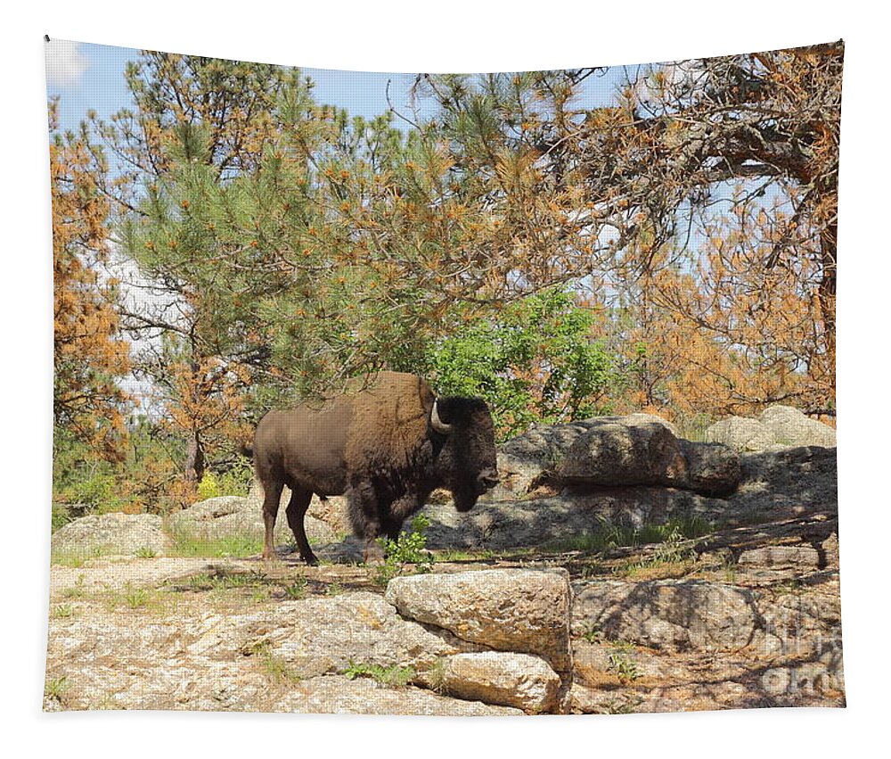 Animal Tapestry featuring the photograph Buffalo At Dying Pine by Robert Frederick