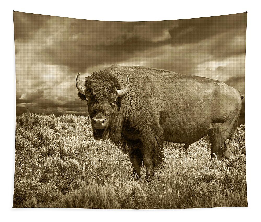 Buffalo Tapestry featuring the photograph Buffalo Bison at Yellowstone in Sepia by Randall Nyhof