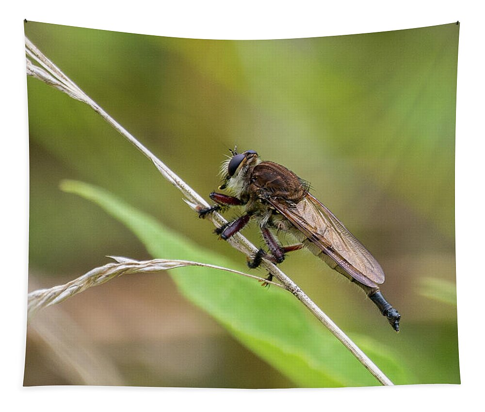 Wildlife Tapestry featuring the photograph Bug On A Stem by John Benedict