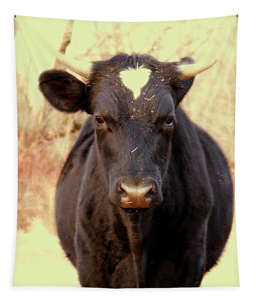Animals Tapestry featuring the photograph Bull by Dorothy Lee