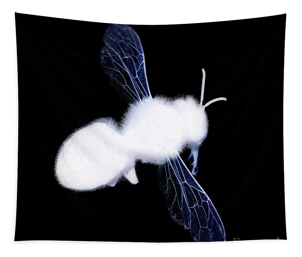 Bumble Bee Tapestry featuring the photograph Bumble Bee by Clayton Bastiani