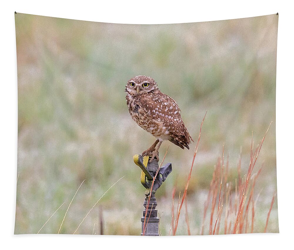 Owl Tapestry featuring the photograph Burrowing Owl On a Sprinkler by Tony Hake