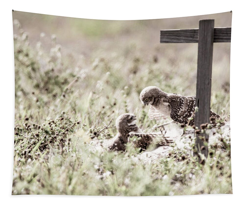 Spring Tapestry featuring the photograph Burrowing Owls at Play by Tracy Winter