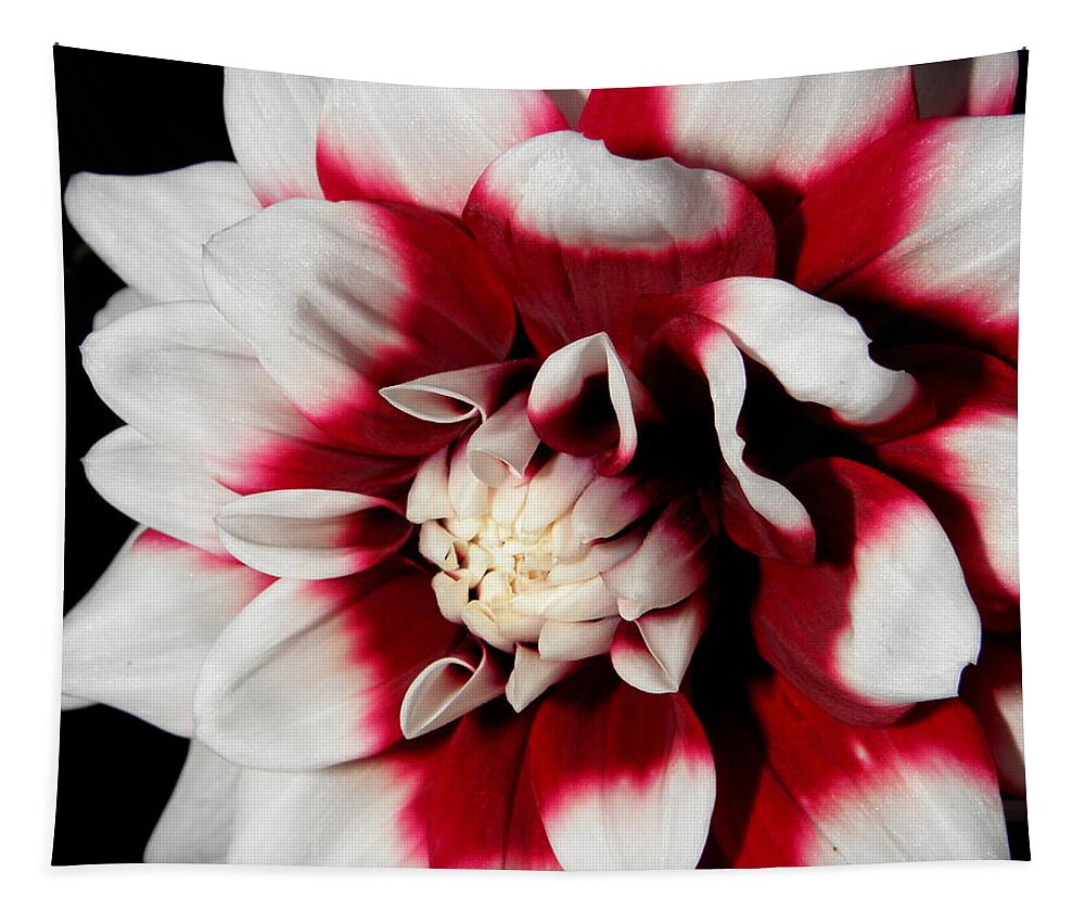 Red Tapestry featuring the photograph Bursts Of Reds And White by Kim Galluzzo