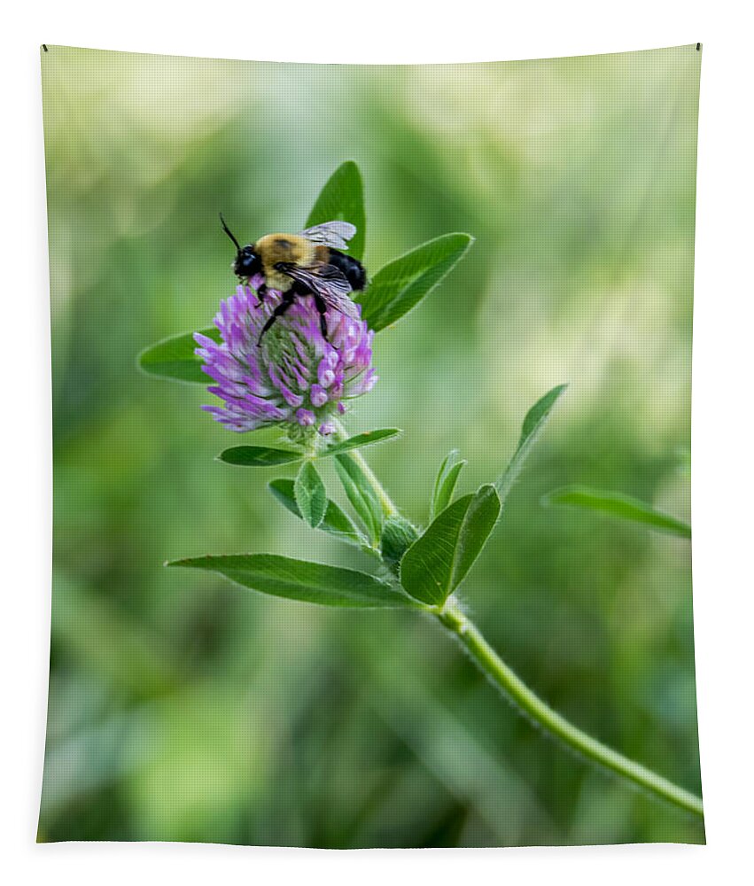 Bee Tapestry featuring the photograph Busy Bee by Holden The Moment