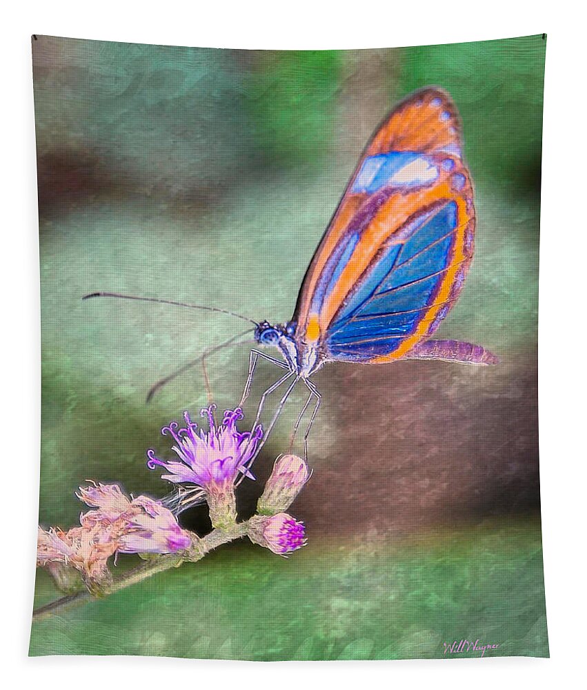 Butterfly Tapestry featuring the photograph Butterfly #7 by Will Wagner