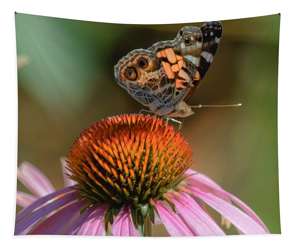 Butterfly Tapestry featuring the photograph Butterfly on Coneflower 2 by Mary Ann Artz