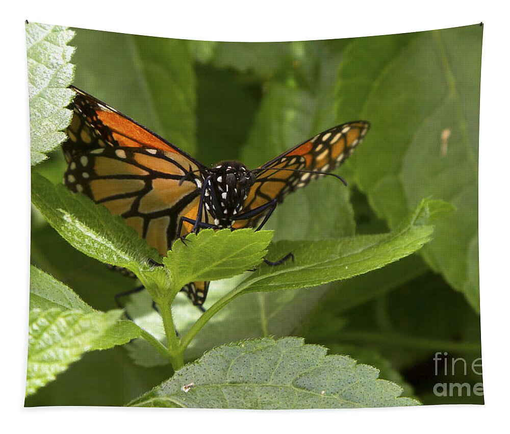 Butterfly Tapestry featuring the photograph Butterfly Peeking Through Leaves by Karen Foley