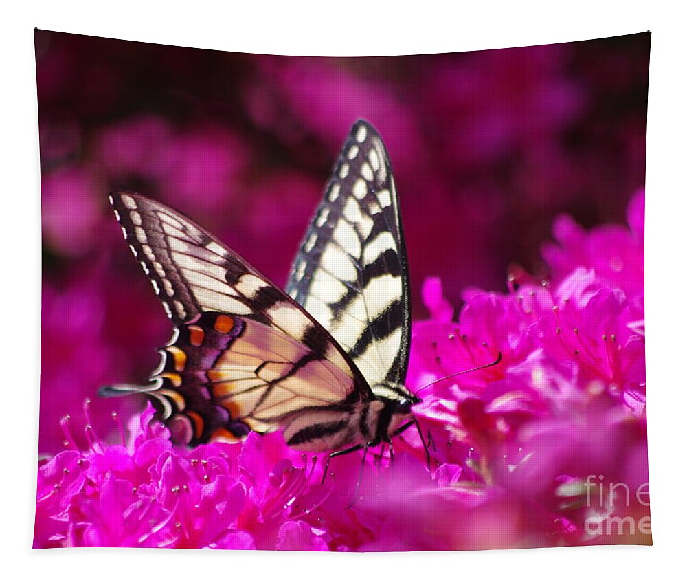 Butterfly Tapestry featuring the photograph Butterfly1 by Gerald Kloss