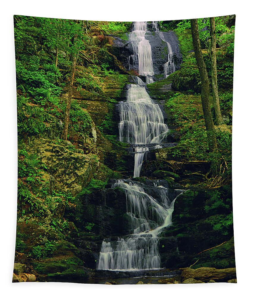 Buttermilk Falls Tapestry featuring the photograph Buttermilk Falls 3 by Raymond Salani III