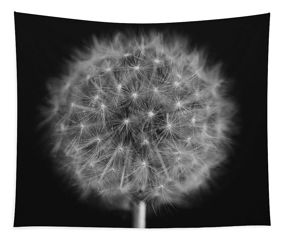 Dandelion Tapestry featuring the photograph Bw12 by Charles Harden