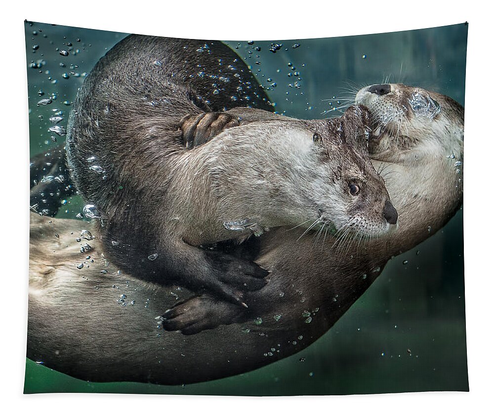 Otters Tapestry featuring the photograph By the Skin in His Teeth by Greg Nyquist
