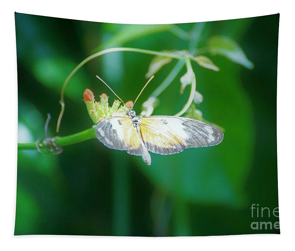 Cleveland Ohio Butterfly Tapestry featuring the photograph c4 by Merle Grenz