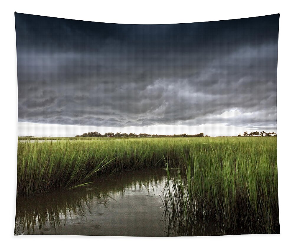 Summer Storm Print Tapestry featuring the photograph Cabbage Inlet Cold Front by Phil Mancuso