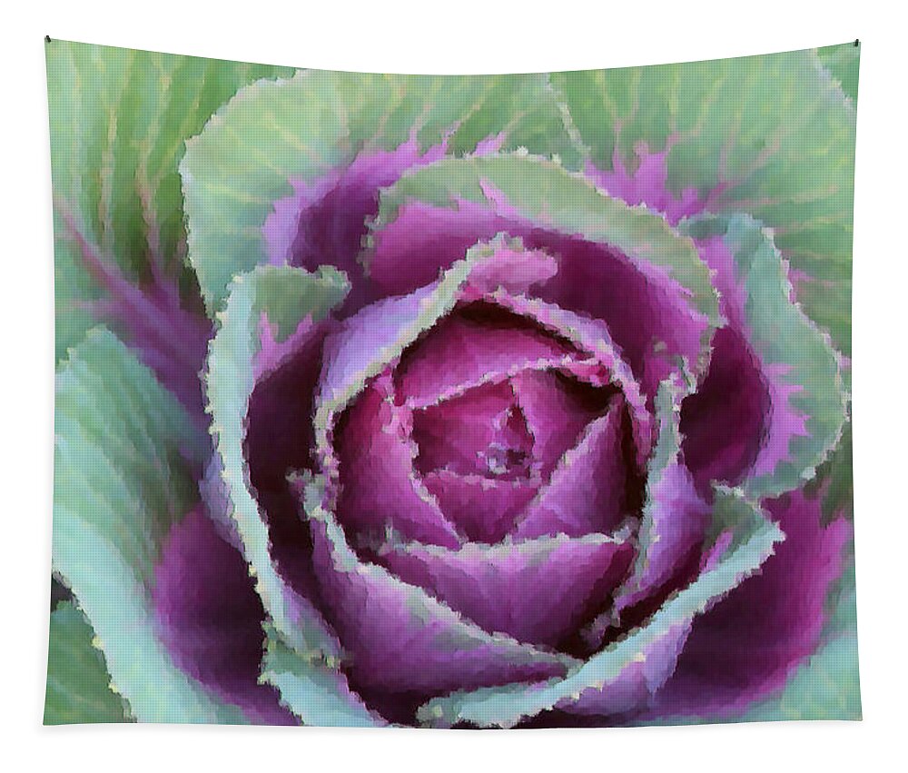 Cabbage Tapestry featuring the photograph Cabbage by Kristin Elmquist