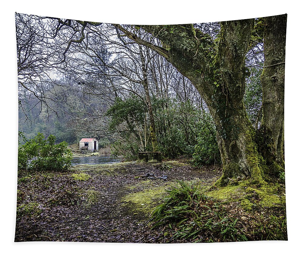 Ireland Tapestry featuring the photograph Cabin in the Woods by WAZgriffin Digital
