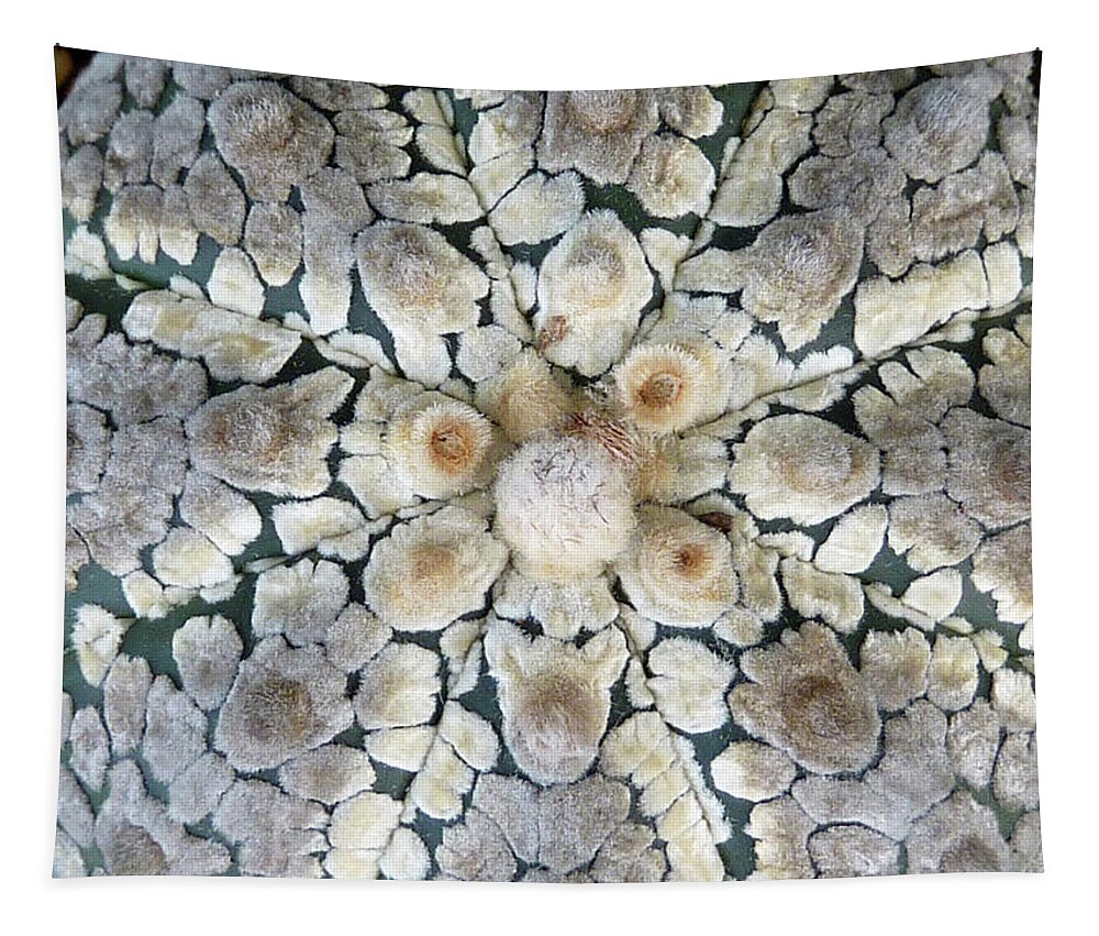Cactus Tapestry featuring the photograph Cactus 2 by Selena Boron