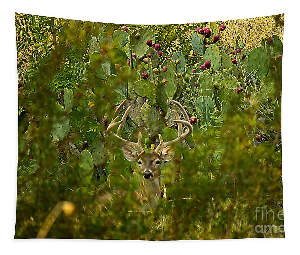 Michael Tidwell Photography Tapestry featuring the photograph Cactus Buck by Michael Tidwell