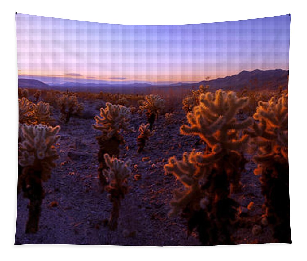 Prickly Tapestry featuring the photograph Prickly by Chad Dutson