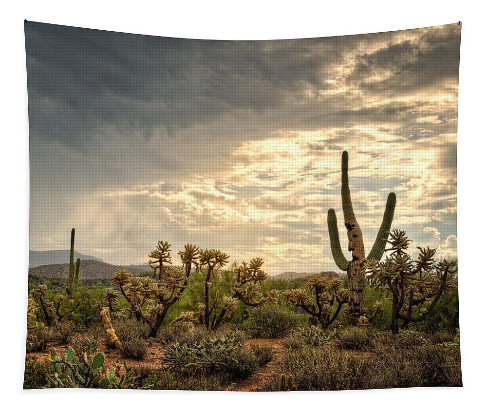 Arizona Tapestry featuring the photograph Cactus Man Greeting the Morning by Saija Lehtonen