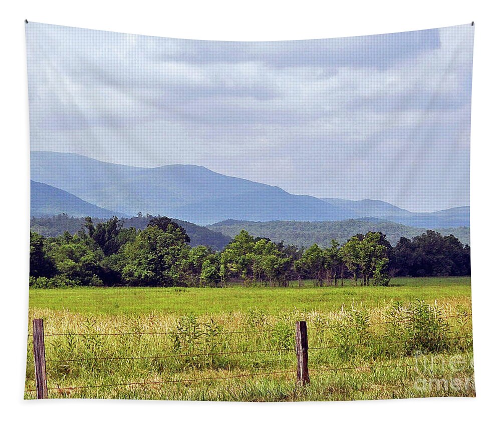 Cove Tapestry featuring the photograph Cades Cove 3 by Lydia Holly