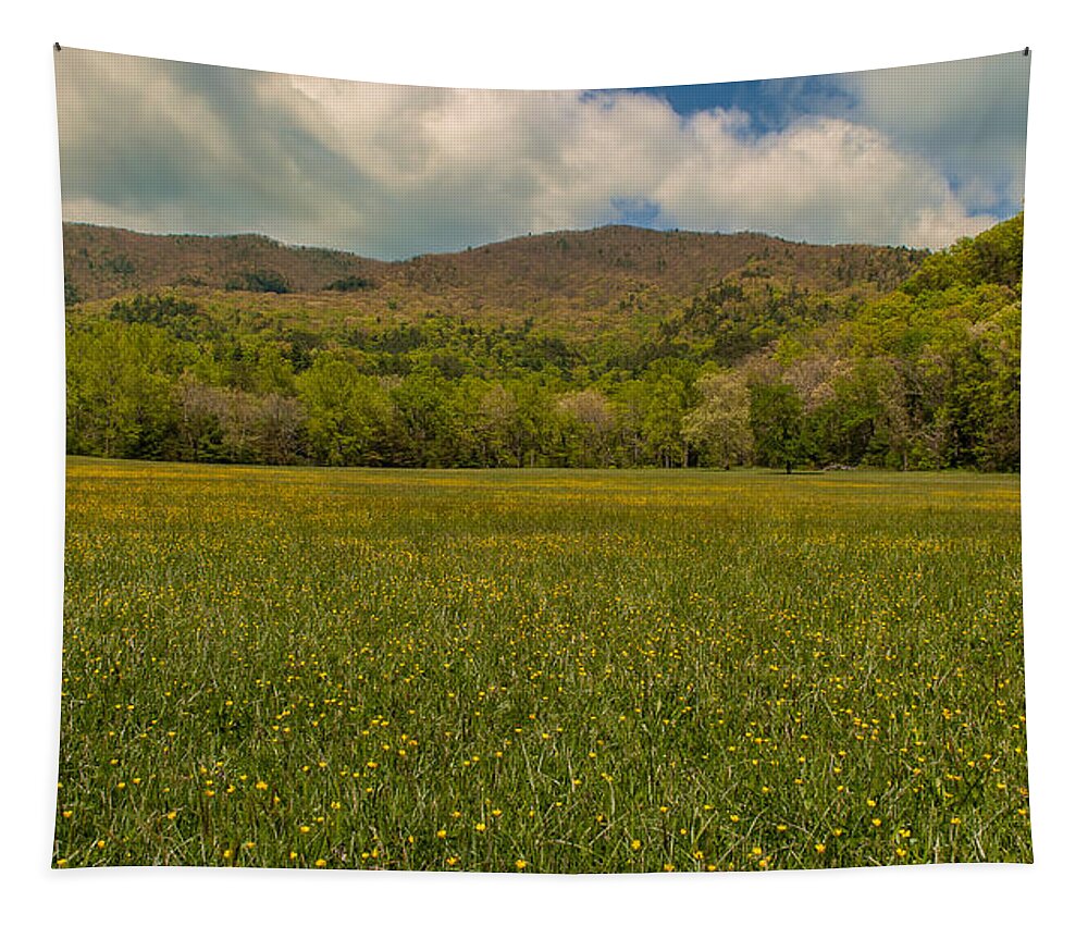 Great Smoky Mountains Tapestry featuring the photograph Cades Cove Buttercup Field by Brenda Jacobs