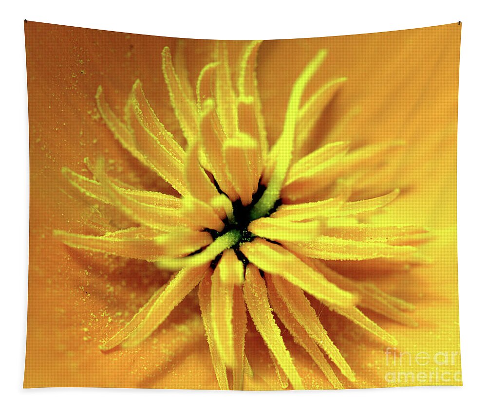 Californian Tapestry featuring the photograph Californian Poppy Macro by Baggieoldboy