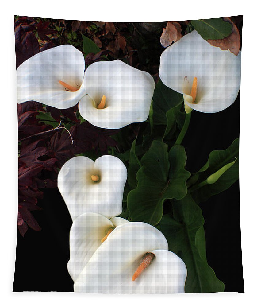Lily Tapestry featuring the photograph Calla Lilies by Aidan Moran