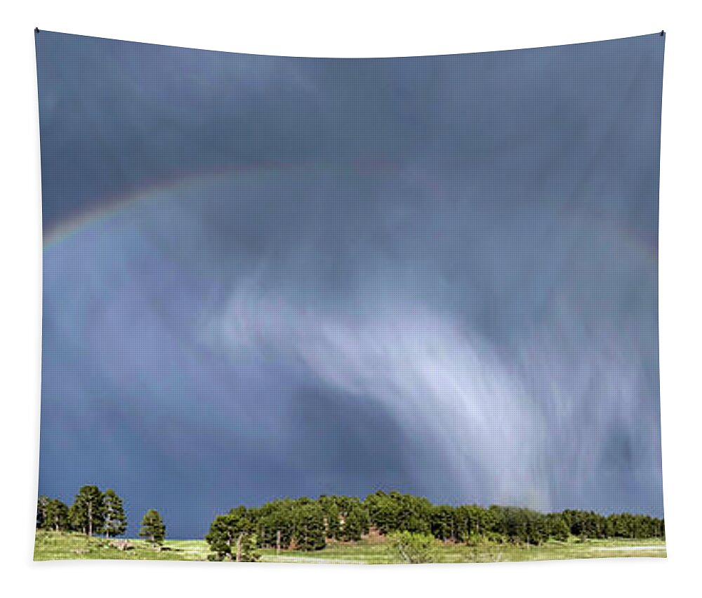 Blue Tapestry featuring the photograph The Good in a Storm by Dawn Key