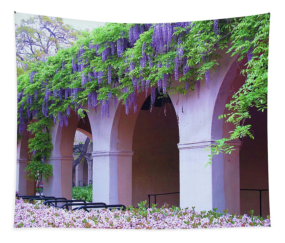 Wisteria Flowers Tapestry featuring the photograph Caltech Wisteria by Ram Vasudev