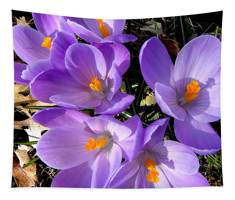 Spring Tapestry featuring the photograph Can you say PURPLE by Kim Galluzzo Wozniak