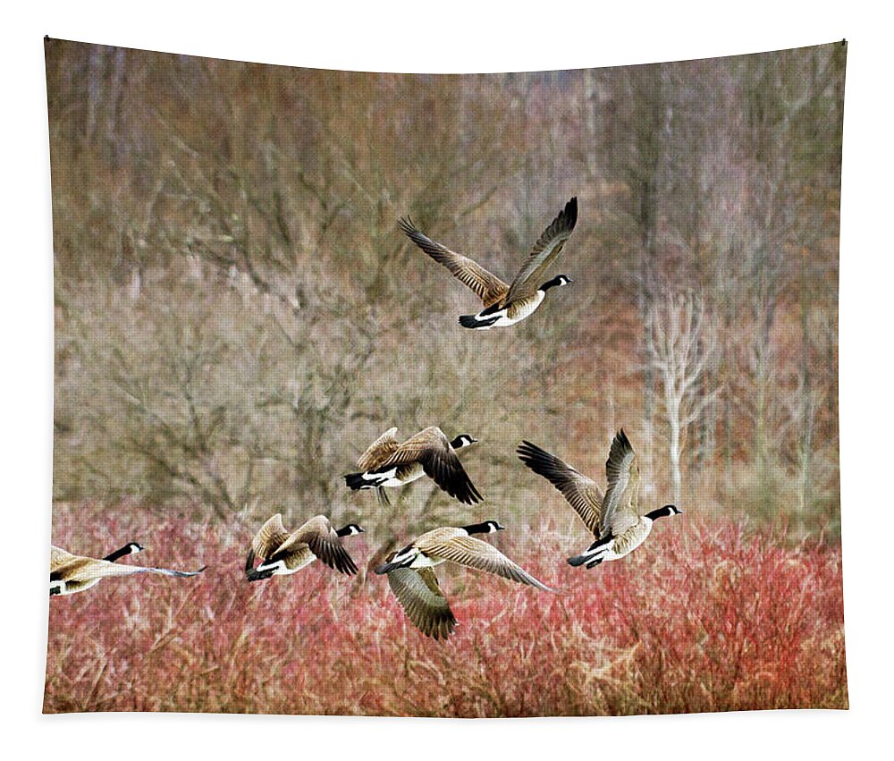 Canada Geese Tapestry featuring the photograph Canada Geese In Flight by Christina Rollo